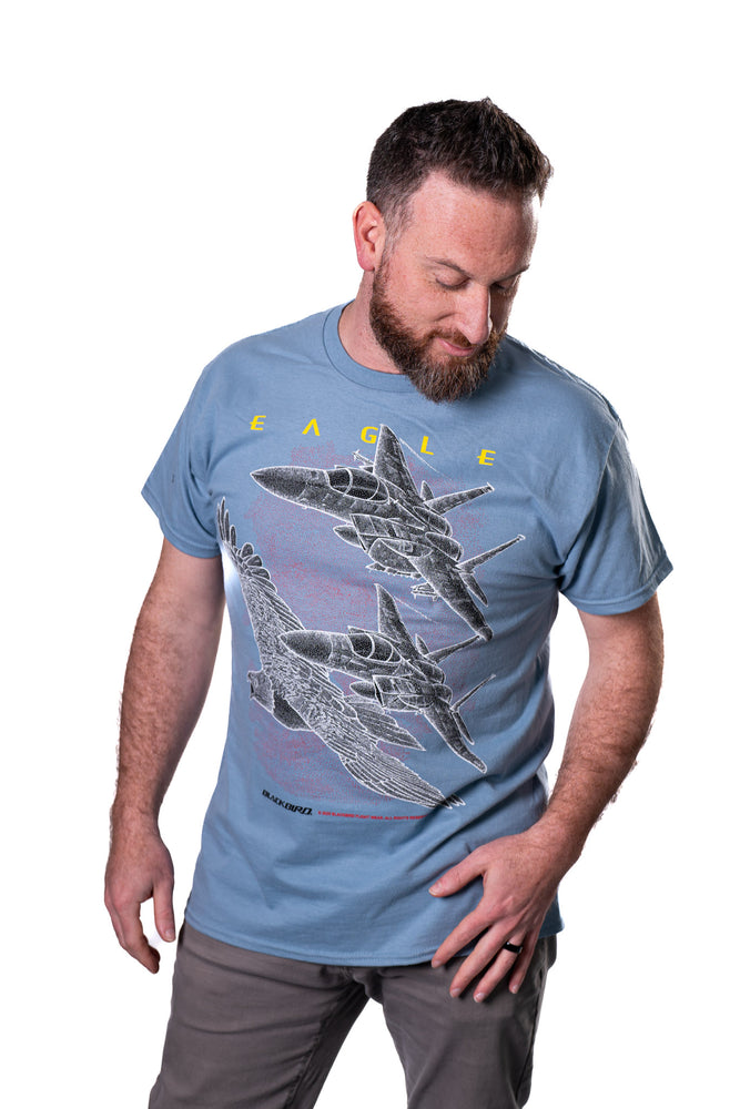 F-15 EAGLE MORPH II