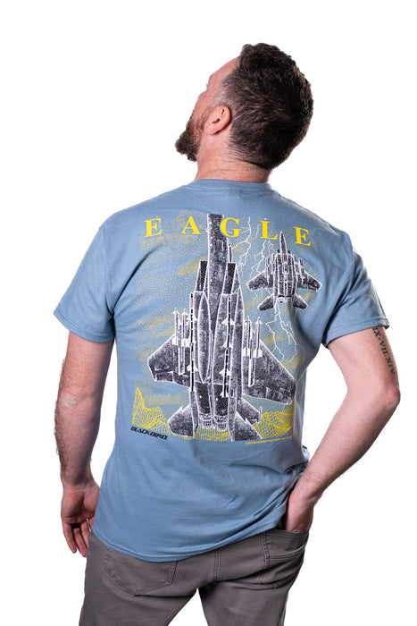 F-15 EAGLE MORPH II