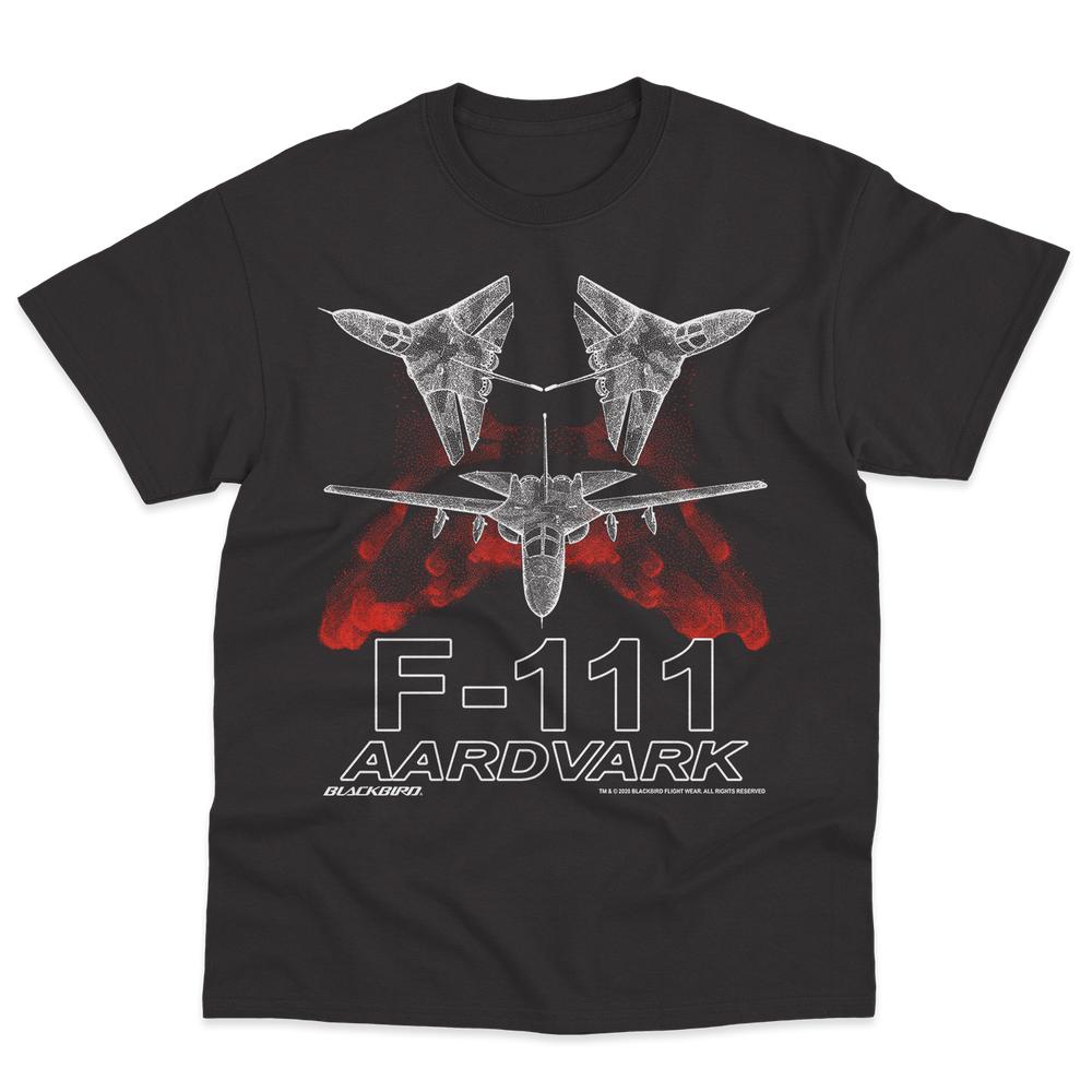 F-111 AARDVARK