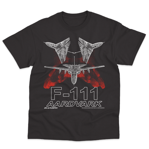 F-111 AARDVARK