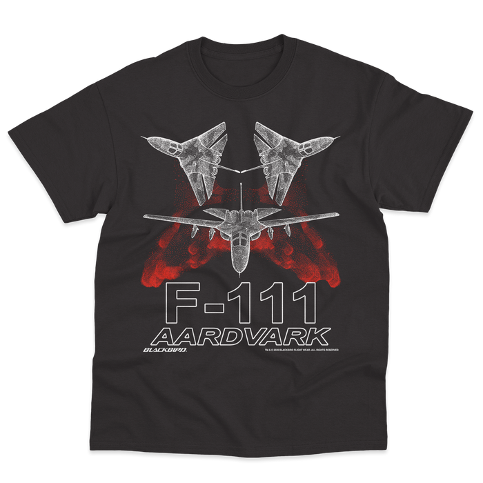 F-111 AARDVARK
