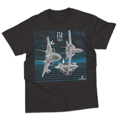 F-14 TOMCAT CARRIER